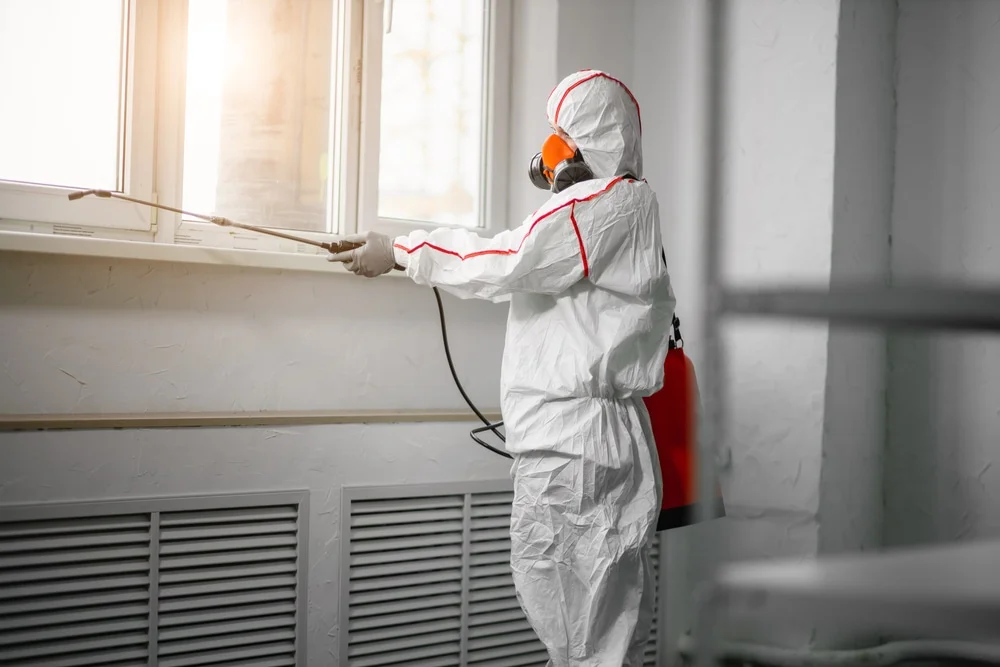 Professional mold remediation services in Point Roberts, WA